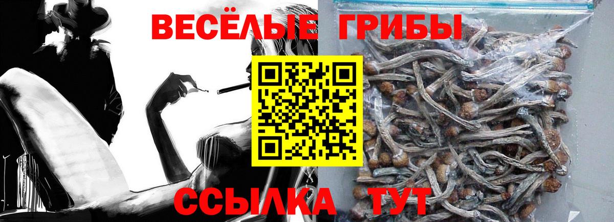Галлюциногенные грибы мухоморы  Вход с VPN  Галлюциногенные грибы Psilocybine cubensis  Гусиноозёрск 